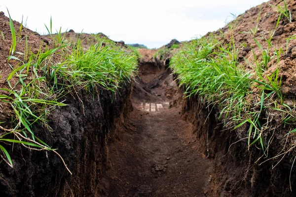 stock image Trenches of the 209th Battalion of the 113th Kharkiv Defense Brigade. The job of this brigade is to hold the position right in front of the Russian army and repel all enemy attacks.