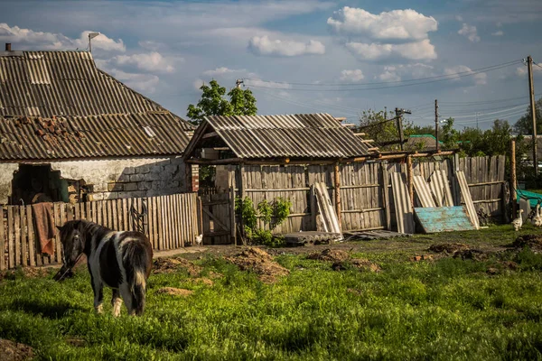 Kraftigt Skadade Eller Förstörda Hus Byn Yampil Donetsk Oblast Ukraina — Stockfoto