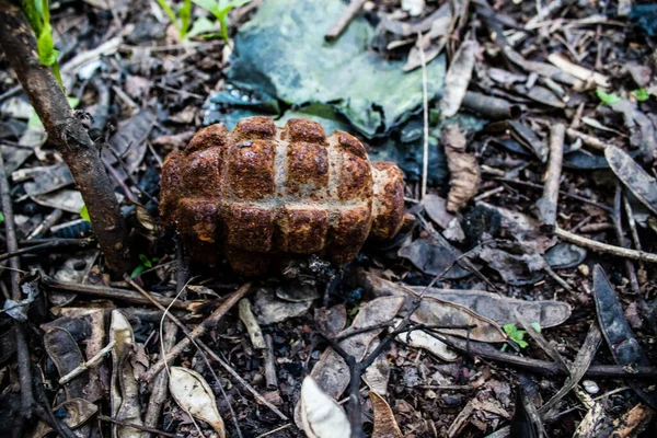 stock image A Ukrainian army BTR armored vehicle was destroyed by artillery fire in the combat zone near Bahkmut on the edge of a forest. The Russian and Ukrainian armies face each other in the Donbas, the fighting is intense and the tanks are prime targets.