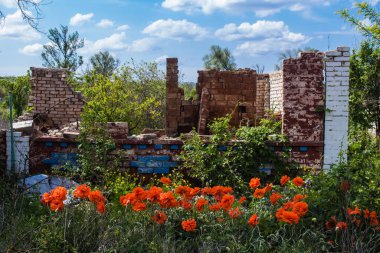 Kam 'yanka kasabasında hasar gören bina. Sivil altyapılar Rus ordusunun ayrıcalıklı hedefleridir. Rusya Ukrayna 'yı işgal etti ve bu bölgede ağır çatışmalar yaşandı..