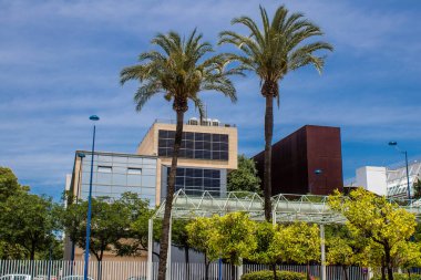 Seville, İspanya - Haziran 06, 2023 Cartuja Adası Mimari ve şehir manzarası, Sevilla semtlerinden biri, sembolik şehir ve Endülüs 'ün başkenti.