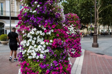 Sevilla, İspanya - Haziran 06, 2023 Sevilla şehir merkezi, sembolik bir şehir ve Endülüs 'ün başkenti.