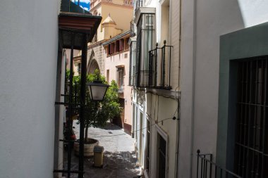 Sevilla, İspanya - 13 Haziran 2023 Sevilla şehir merkezi, sembolik bir şehir ve Endülüs 'ün başkenti..