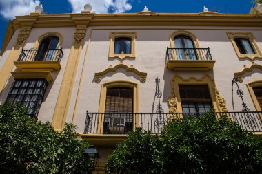 Sevilla, İspanya - 13 Haziran 2023 Sevilla şehir merkezi, sembolik bir şehir ve Endülüs 'ün başkenti..