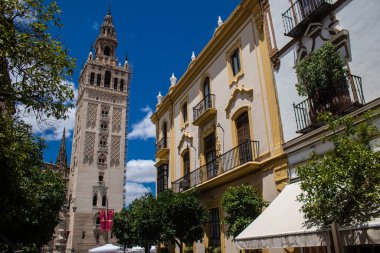 Sevilla, İspanya - 13 Haziran 2023 Sevilla şehir merkezi, sembolik bir şehir ve Endülüs 'ün başkenti..