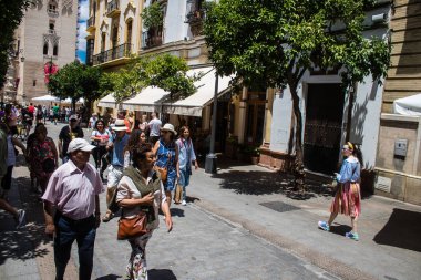 Sevilla, İspanya - 13 Haziran 2023 Sevilla şehir merkezi, sembolik bir şehir ve Endülüs 'ün başkenti..