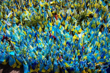 Thousands of flags have been planted at the makeshift memorial for fallen soldiers in Maidan Square in Kyiv. Each flag is a tribute to someone who was killed by Russia's war in Ukraine. The flags of different countries whose fighters are nationals ar
