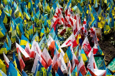 Thousands of flags have been planted at the makeshift memorial for fallen soldiers in Maidan Square in Kyiv. Each flag is a tribute to someone who was killed by Russia's war in Ukraine. The flags of different countries whose fighters are nationals ar