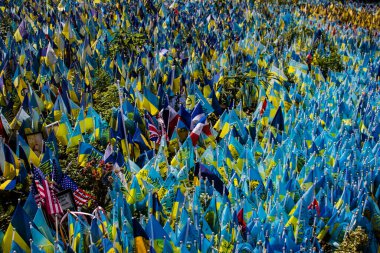 Thousands of flags have been planted at the makeshift memorial for fallen soldiers in Maidan Square in Kyiv. Each flag is a tribute to someone who was killed by Russia's war in Ukraine. The flags of different countries whose fighters are nationals ar