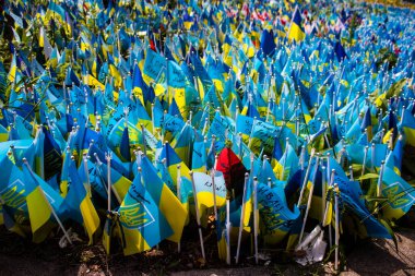 Thousands of flags have been planted at the makeshift memorial for fallen soldiers in Maidan Square in Kyiv. Each flag is a tribute to someone who was killed by Russia's war in Ukraine. The flags of different countries whose fighters are nationals ar