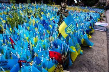 Thousands of flags have been planted at the makeshift memorial for fallen soldiers in Maidan Square in Kyiv. Each flag is a tribute to someone who was killed by Russia's war in Ukraine. The flags of different countries whose fighters are nationals ar