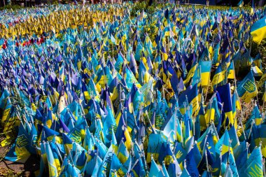 Thousands of flags have been planted at the makeshift memorial for fallen soldiers in Maidan Square in Kyiv. Each flag is a tribute to someone who was killed by Russia's war in Ukraine. The flags of different countries whose fighters are nationals ar