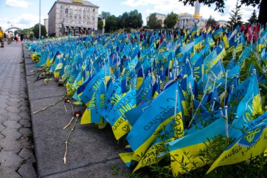 Thousands of flags have been planted at the makeshift memorial for fallen soldiers in Maidan Square in Kyiv. Each flag is a tribute to someone who was killed by Russia's war in Ukraine. The flags of different countries whose fighters are nationals ar