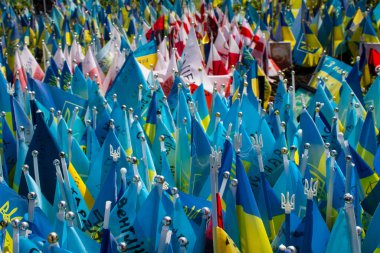 Thousands of flags have been planted at the makeshift memorial for fallen soldiers in Maidan Square in Kyiv. Each flag is a tribute to someone who was killed by Russia's war in Ukraine. The flags of different countries whose fighters are nationals ar