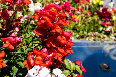 Reims, Fransa - 07 Ağustos 2022 Reims şehri ve Fransa 'da Şampanya' nın başkenti.