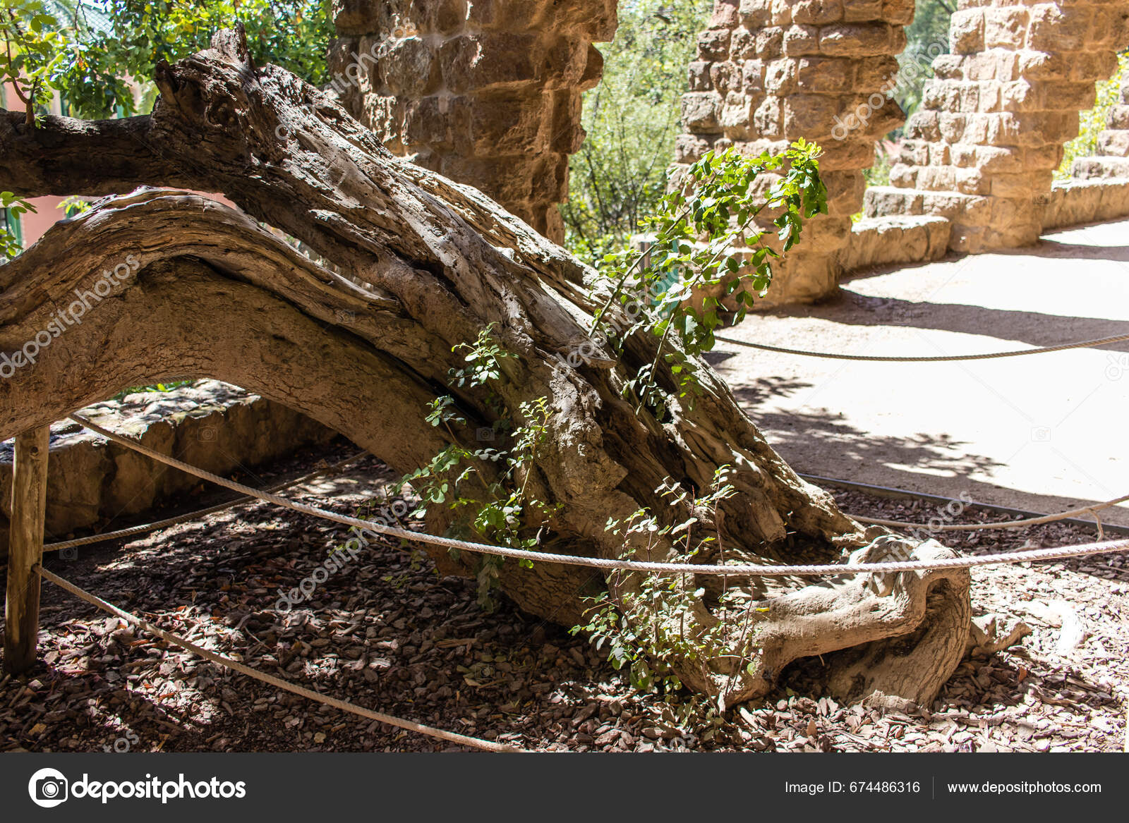 Barcelona Spain August Tourists Visiting Park Gell Parks Made Stock Editorial Photo