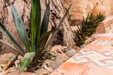 Agadir, Fas - 21 Ağustos 2023 Agadir 'in yeni medina' sı, Coco Polizzi, ortaçağ hisarına sahip, mimari mekanlar ve büyüleyici atölyelerle dolu bir 20. yüzyıl kalesi.