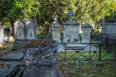 Reims, Fransa - 06 Ekim 2023 Vatandaşların Mezarlığı Reims, sembolik bir şehir ve Fransa 'nın Şampanya başkenti.