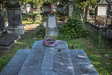 Reims, Fransa - 06 Ekim 2023 Vatandaşların Mezarlığı Reims, sembolik bir şehir ve Fransa 'nın Şampanya başkenti.