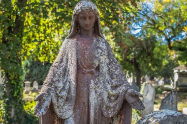 Reims, Fransa - 06 Ekim 2023 Vatandaşların Mezarlığı Reims, sembolik bir şehir ve Fransa 'nın Şampanya başkenti.