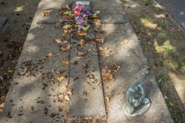 Reims, Fransa - 06 Ekim 2023 Vatandaşların Mezarlığı Reims, sembolik bir şehir ve Fransa 'nın Şampanya başkenti.