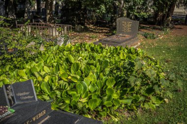 Reims, Fransa - 06 Ekim 2023 Vatandaşların Mezarlığı Reims, sembolik bir şehir ve Fransa 'nın Şampanya başkenti.