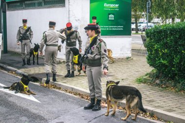 Reims, Fransa - 11 Kasım 2023 Fransız askeri Birinci Dünya Savaşı 'nın bitişini simgeleyen ateşkes törenine katılan muharebe köpeği