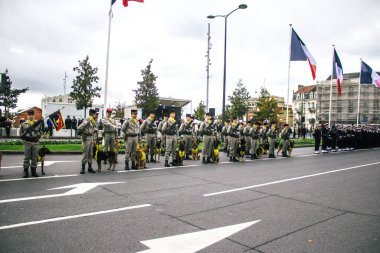 Reims, Fransa - 11 Kasım 2023 Fransız askeri Birinci Dünya Savaşı 'nın bitişini simgeleyen ateşkes törenine katılan muharebe köpeği