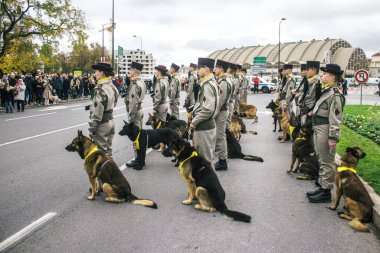 Reims, Fransa - 11 Kasım 2023 Fransız askeri Birinci Dünya Savaşı 'nın bitişini simgeleyen ateşkes törenine katılan muharebe köpeği