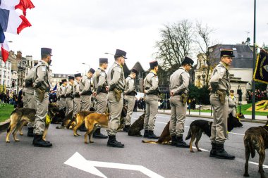 Reims, Fransa - 11 Kasım 2023 Fransız askeri Birinci Dünya Savaşı 'nın bitişini simgeleyen ateşkes törenine katılan muharebe köpeği