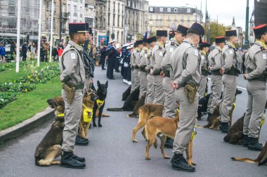 Reims, Fransa - 11 Kasım 2023 Fransız askeri Birinci Dünya Savaşı 'nın bitişini simgeleyen ateşkes törenine katılan muharebe köpeği