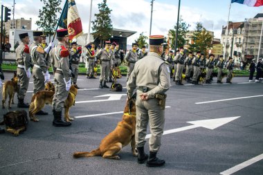 Reims, Fransa - 11 Kasım 2023 Fransız askeri Birinci Dünya Savaşı 'nın bitişini simgeleyen ateşkes törenine katılan muharebe köpeği