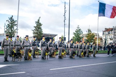 Reims, Fransa - 11 Kasım 2023 Fransız askeri Birinci Dünya Savaşı 'nın bitişini simgeleyen ateşkes törenine katılan muharebe köpeği