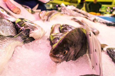 Reims, Fransa - Reims şehrinde 11 Kasım 2023 kapalı pazar, burada her gün taze balık ve deniz ürünleri bulabilirsiniz. Şehirdeki en popüler ve en eski pazardır..