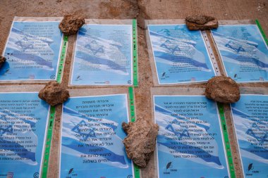 Tel Aviv, İsrail - 10 Aralık 2023 'te Tel Aviv Sanat Müzesi' nin önünde, bugün Rehineler Meydanı olarak bilinen yerde. İnsanlar Hamas rehinelerinin fotoğraflarını ve destek mesajlarını sergiledi