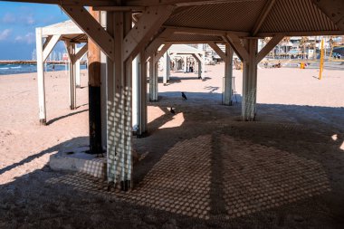 Tel Aviv, İsrail - 14 Aralık 2023 Plajları temizlikleriyle bilinir. İnsanlar sık sık sörf yapmak, yüzmek ve güneşlenmek için oraya giderler. İsrail 'de hava sıcaklığı her gün kumsala gitmenize izin veriyor..