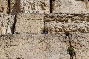 Kudüs, İsrail 27 Aralık 2023 Eski Kudüs 'ün Yahudi mahallesinin caddeleri. Yahudiler Kudüs 'ün eski şehrinin bu yerleşim bölgesinde yaşıyor.