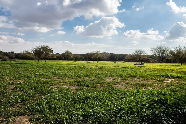 Re 'im, İsrail 5 Ocak 2024 Nova Festivali Katliamı' nın gerçekleştiği yer, 7 Ekim 2023 'te İsrail' in güneyindeki Reim Kibbutz kenti yakınlarındaki Gazze 'ye birkaç kilometre mesafede gerçekleştirilen NOVA Festivali' ne düzenlenen terör saldırısı sırasında gerçekleşti.