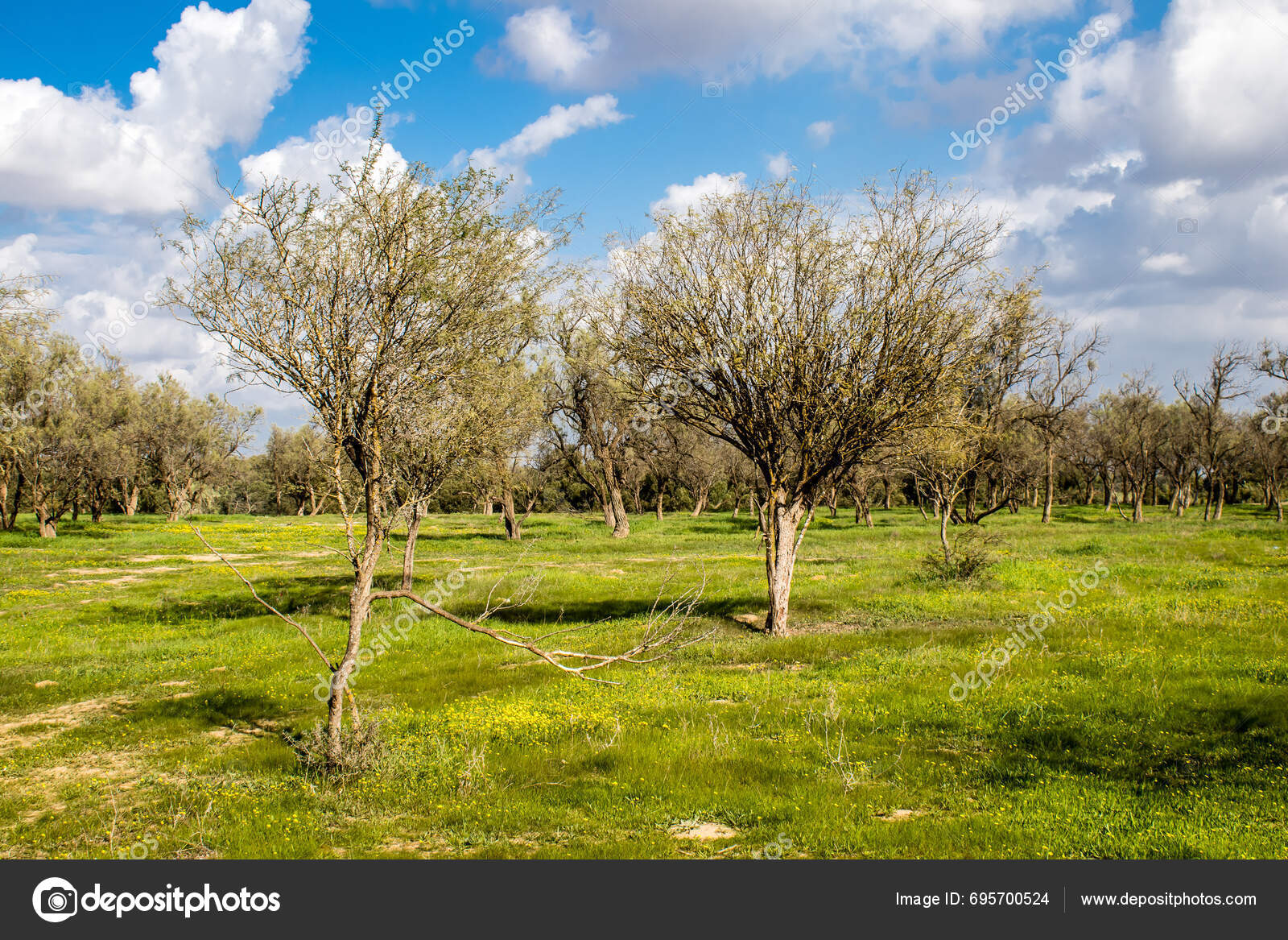 Re'im Israel January 2024 Landscape Site Nova Festival Massacre