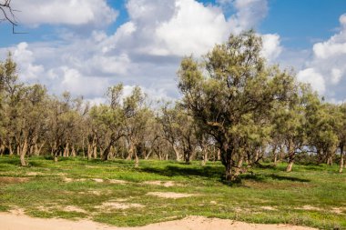 Re 'im, İsrail 5 Ocak 2024 Nova Festivali Katliamı' nın gerçekleştiği yer, 7 Ekim 2023 'te İsrail' in güneyindeki Reim Kibbutz kenti yakınlarındaki Gazze 'ye birkaç kilometre mesafede gerçekleştirilen NOVA Festivali' ne düzenlenen terör saldırısı sırasında gerçekleşti.
