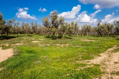 Re 'im, İsrail 5 Ocak 2024 Nova Festivali Katliamı' nın gerçekleştiği yer, 7 Ekim 2023 'te İsrail' in güneyindeki Reim Kibbutz kenti yakınlarındaki Gazze 'ye birkaç kilometre mesafede gerçekleştirilen NOVA Festivali' ne düzenlenen terör saldırısı sırasında gerçekleşti.