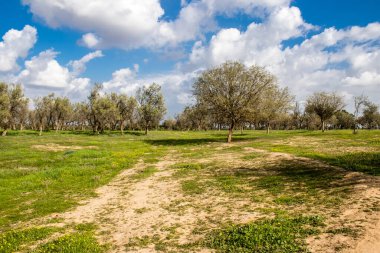Re 'im, İsrail 5 Ocak 2024 Nova Festivali Katliamı' nın gerçekleştiği yer, 7 Ekim 2023 'te İsrail' in güneyindeki Reim Kibbutz kenti yakınlarındaki Gazze 'ye birkaç kilometre mesafede gerçekleştirilen NOVA Festivali' ne düzenlenen terör saldırısı sırasında gerçekleşti.
