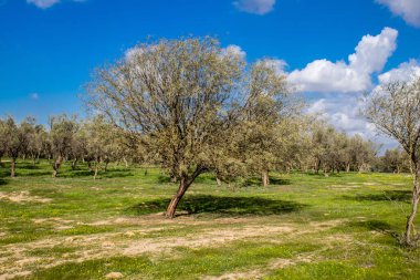 Re 'im, İsrail 5 Ocak 2024 Nova Festivali Katliamı' nın gerçekleştiği yer, 7 Ekim 2023 'te İsrail' in güneyindeki Reim Kibbutz kenti yakınlarındaki Gazze 'ye birkaç kilometre mesafede gerçekleştirilen NOVA Festivali' ne düzenlenen terör saldırısı sırasında gerçekleşti.