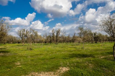 Re 'im, İsrail 5 Ocak 2024 Nova Festivali Katliamı' nın gerçekleştiği yer, 7 Ekim 2023 'te İsrail' in güneyindeki Reim Kibbutz kenti yakınlarındaki Gazze 'ye birkaç kilometre mesafede gerçekleştirilen NOVA Festivali' ne düzenlenen terör saldırısı sırasında gerçekleşti.