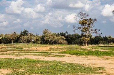 Re 'im, İsrail 5 Ocak 2024 Nova Festivali Katliamı' nın gerçekleştiği yer, 7 Ekim 2023 'te İsrail' in güneyindeki Reim Kibbutz kenti yakınlarındaki Gazze 'ye birkaç kilometre mesafede gerçekleştirilen NOVA Festivali' ne düzenlenen terör saldırısı sırasında gerçekleşti.