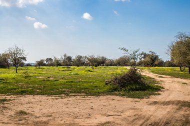 Re 'im, İsrail 5 Ocak 2024 Nova Festivali Katliamı' nın gerçekleştiği yer, 7 Ekim 2023 'te İsrail' in güneyindeki Reim Kibbutz kenti yakınlarındaki Gazze 'ye birkaç kilometre mesafede gerçekleştirilen NOVA Festivali' ne düzenlenen terör saldırısı sırasında gerçekleşti.