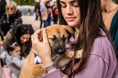 Tel Aviv, İsrail 2 Şubat 2024 SOS Hayvan Derneği 'nden yeni bir köpek sahibi yok edilmiş kibbutzlardan terk edilmiş köpeklerin evlat edinilmesi için Place Otage' da bir gün düzenliyor.