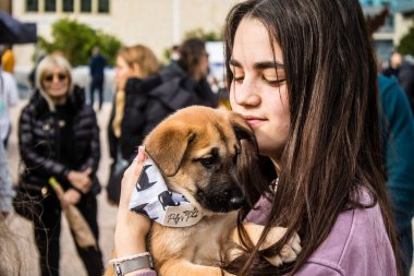Tel Aviv, İsrail 2 Şubat 2024 SOS Hayvan Derneği 'nden yeni bir köpek sahibi yok edilmiş kibbutzlardan terk edilmiş köpeklerin evlat edinilmesi için Place Otage' da bir gün düzenliyor.