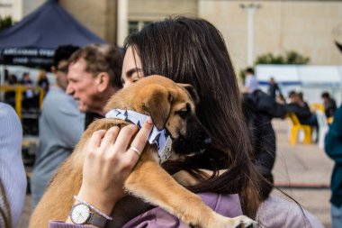 Tel Aviv, İsrail 2 Şubat 2024 SOS Hayvan Derneği 'nden yeni bir köpek sahibi yok edilmiş kibbutzlardan terk edilmiş köpeklerin evlat edinilmesi için Place Otage' da bir gün düzenliyor.