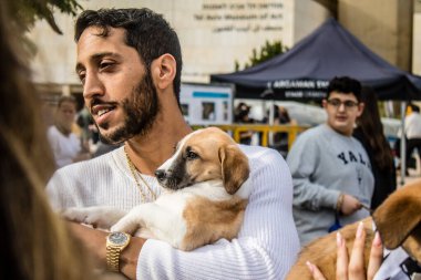 Tel Aviv, İsrail 2 Şubat 2024 SOS Hayvan Derneği 'nden yeni bir köpek sahibi yok edilmiş kibbutzlardan terk edilmiş köpeklerin evlat edinilmesi için Place Otage' da bir gün düzenliyor.